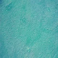 imgi_93_ocean-blue@2x