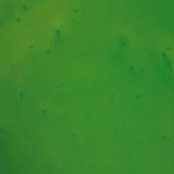 Screenshot_2024-09-05_at_4.47.14_PM.png