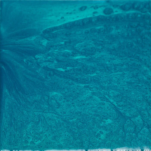 XPS6060_PeacockGreen_27c095c2-7216-4191-ab1a-2b783155423b.webp